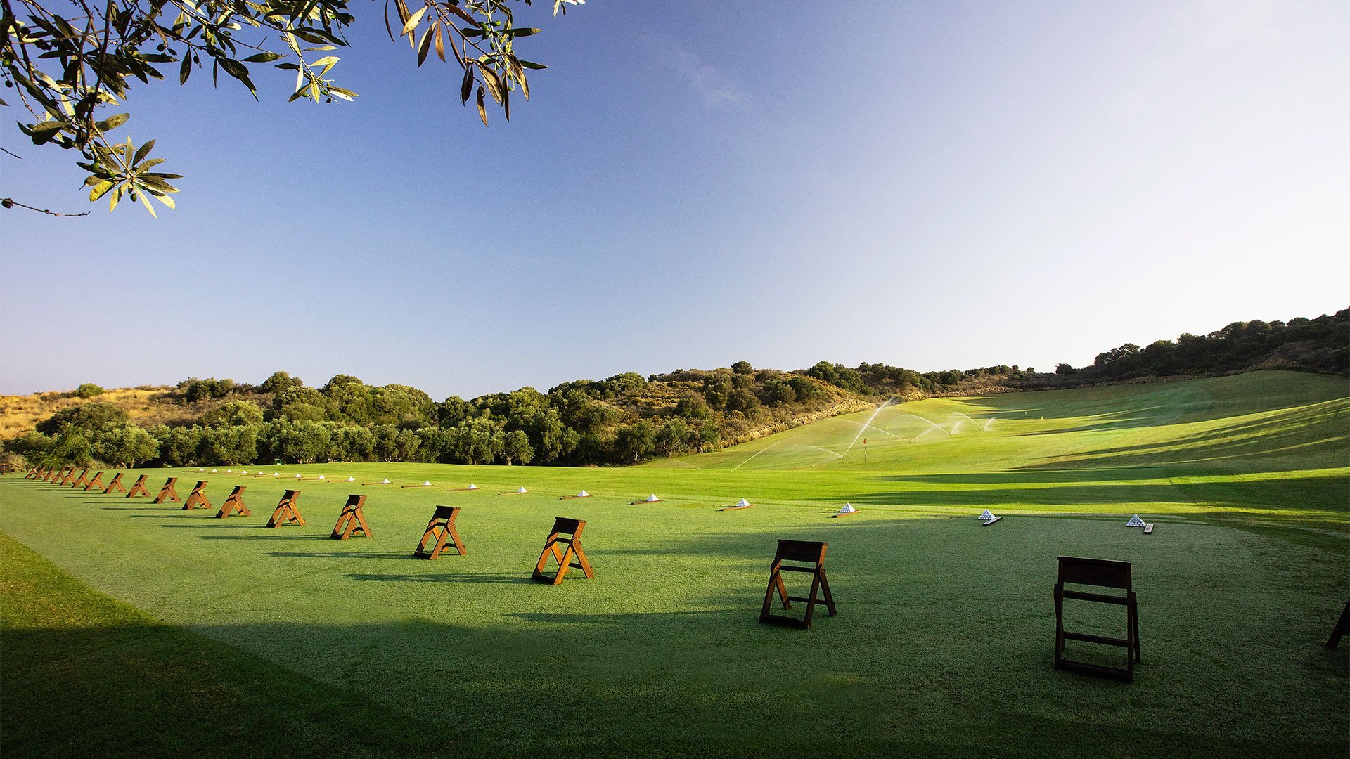 Driving range at Costa Navarino among olive trees